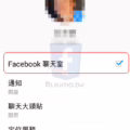 聊天室或臉書 Messenger 會洩露你的上線狀態!
